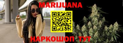 молекула духа Лесной
