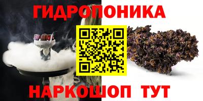 молекула духа Лесной